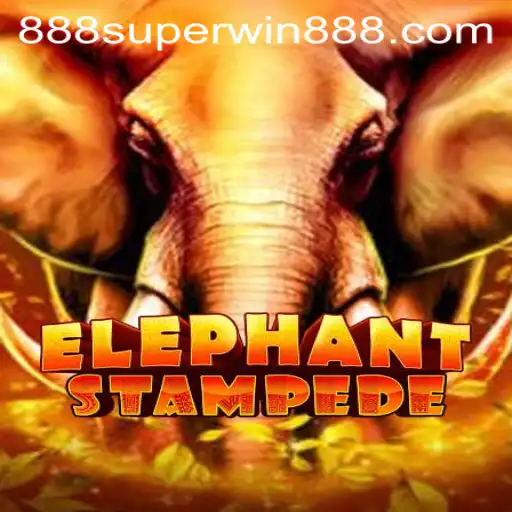 The Game-Changing Experience of ElephantStampede